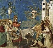 GIOTTO di Bondone Entry into Jerusalem oil